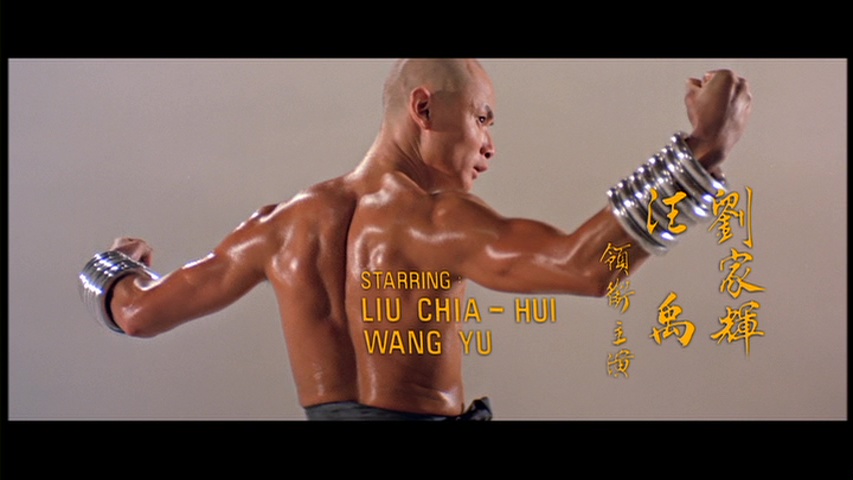 THE 36TH CHAMBER OF SHAOLIN
