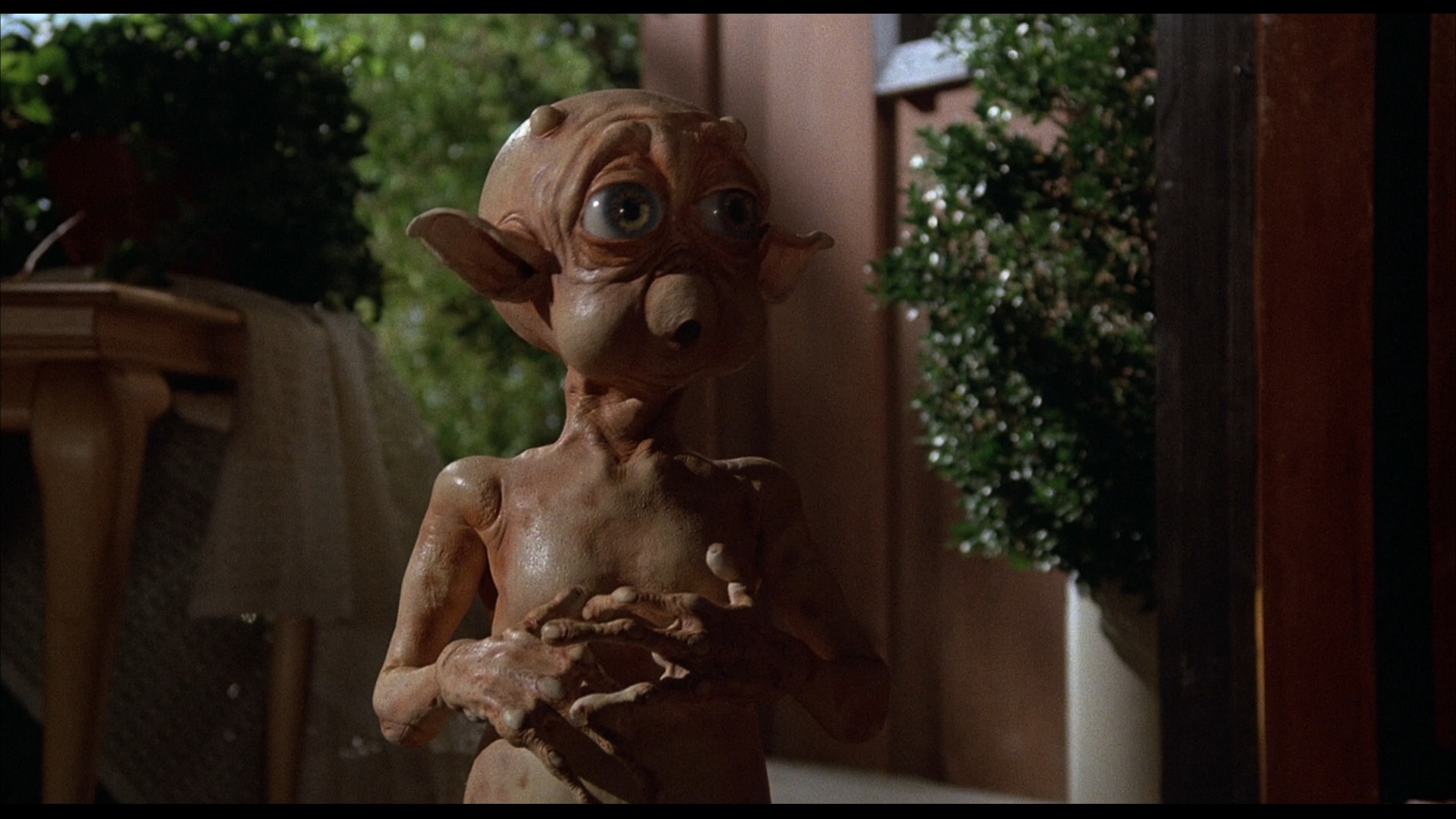 Mac and Me