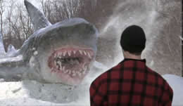 Snow Shark