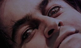 Vampires Night Orgy