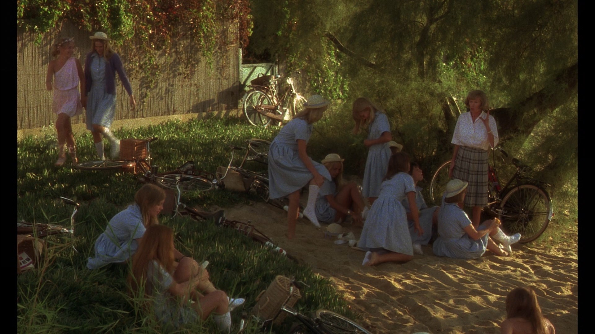 Bush....the type david58 loves !!! gallery 1115