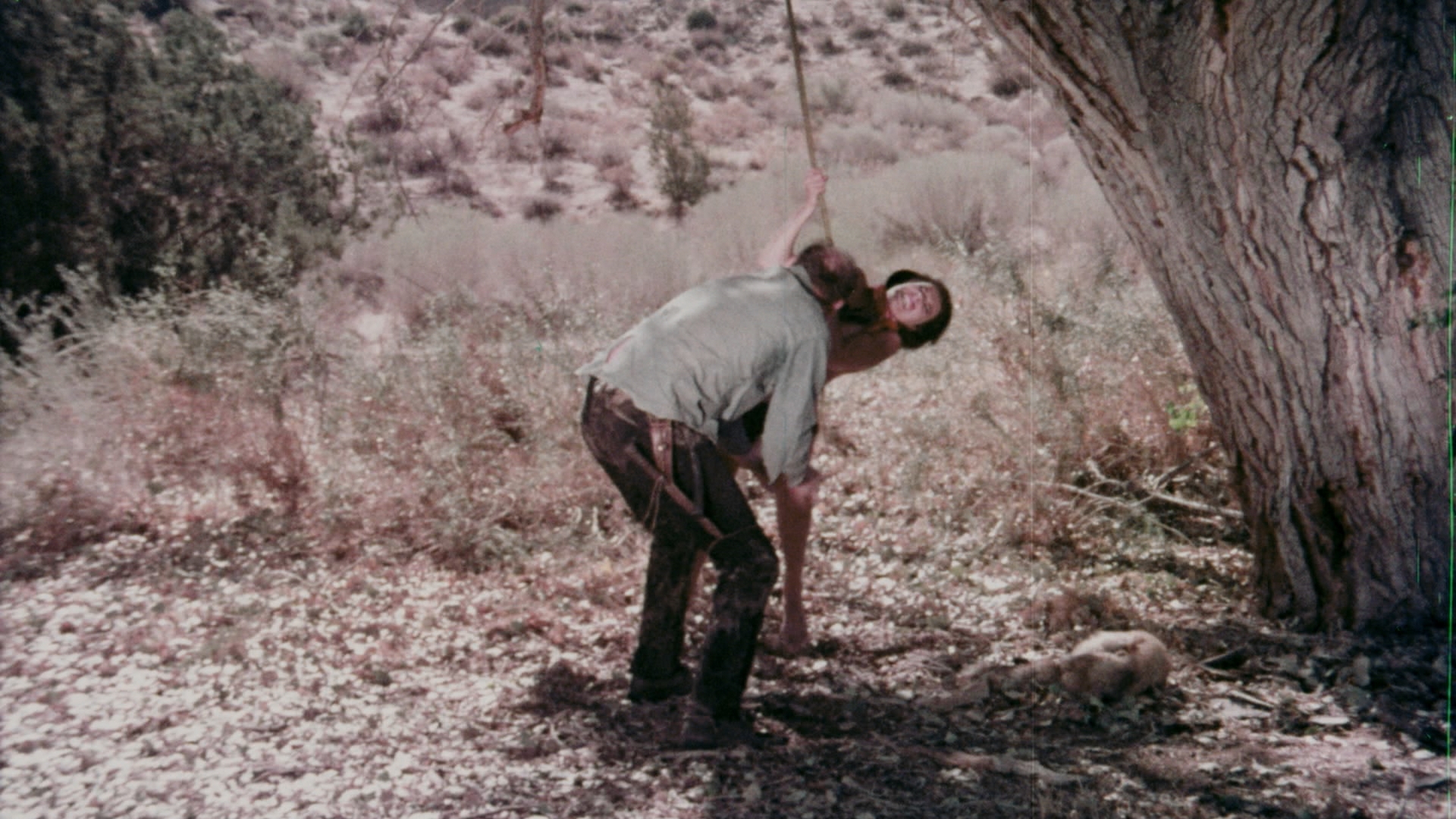 The Bushwhacker