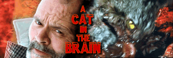 Cat in the Brain