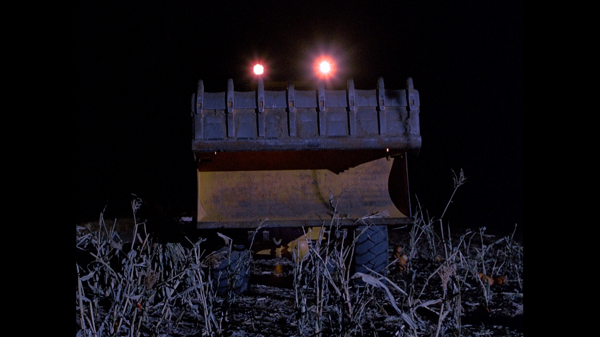 Dark Night of the Scarecrow