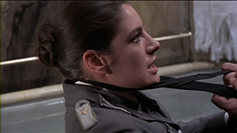 Gestapo's Last Orgy