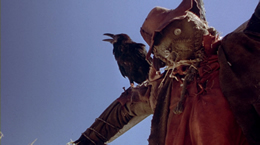 Night of the Scarecrow