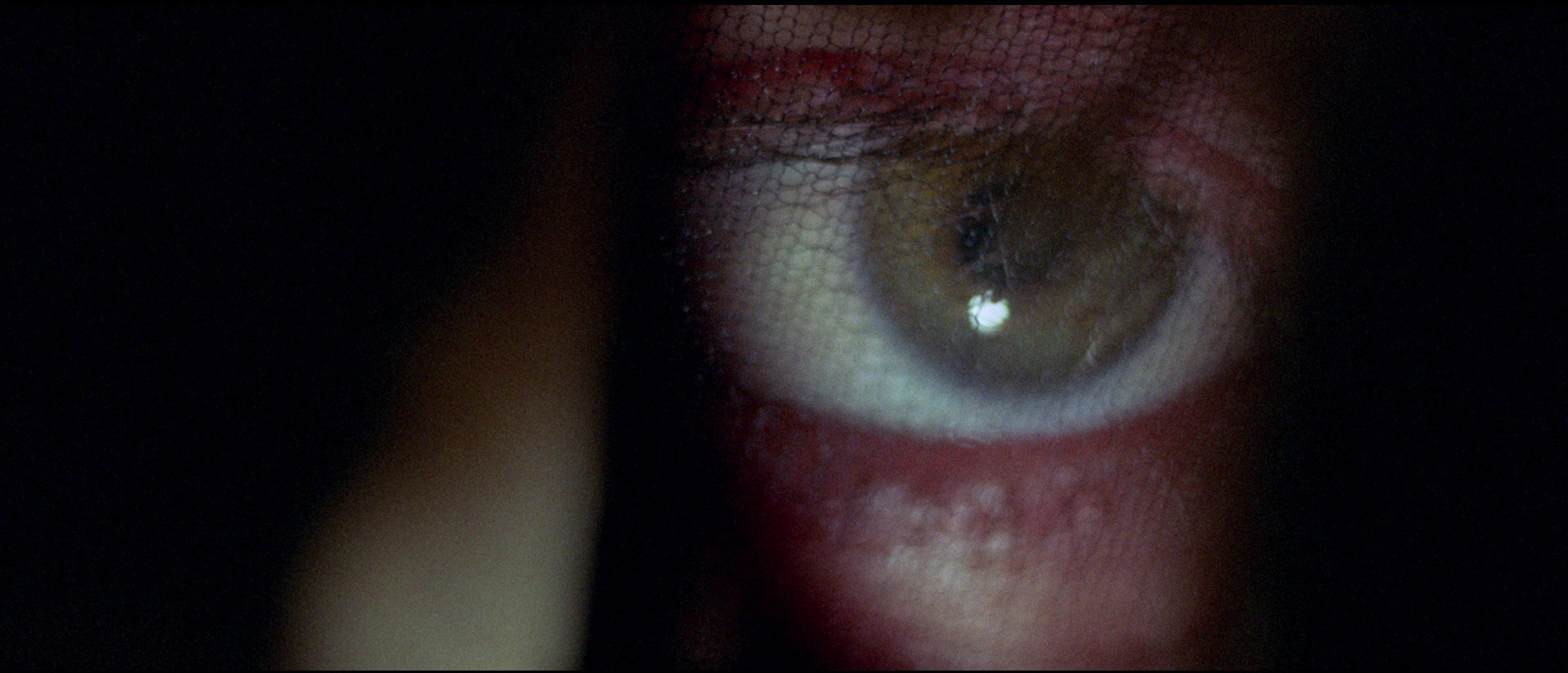 The Case of the Scorpion's Tail