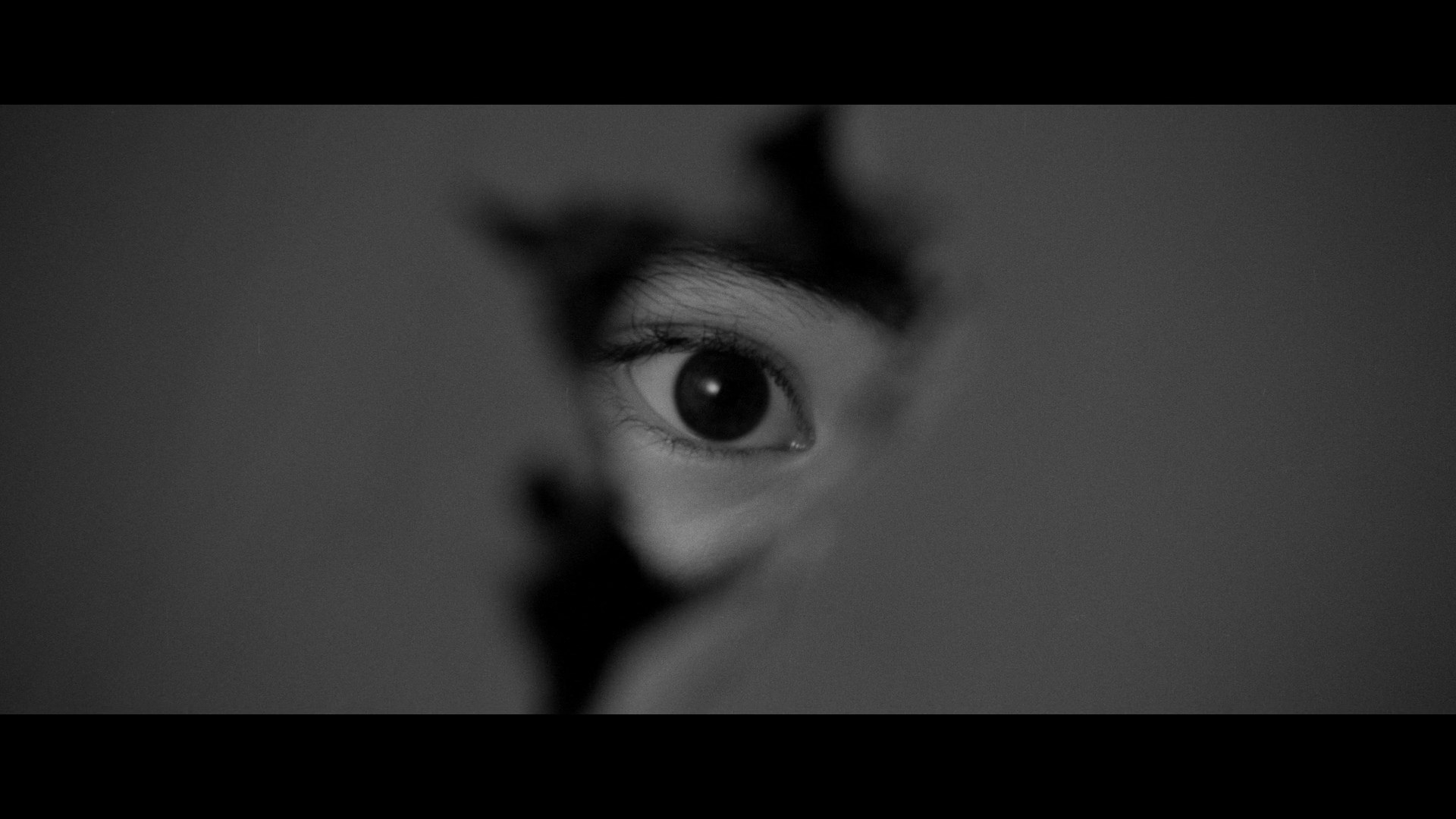 The Snake Girl and the Silver-Haired Witch