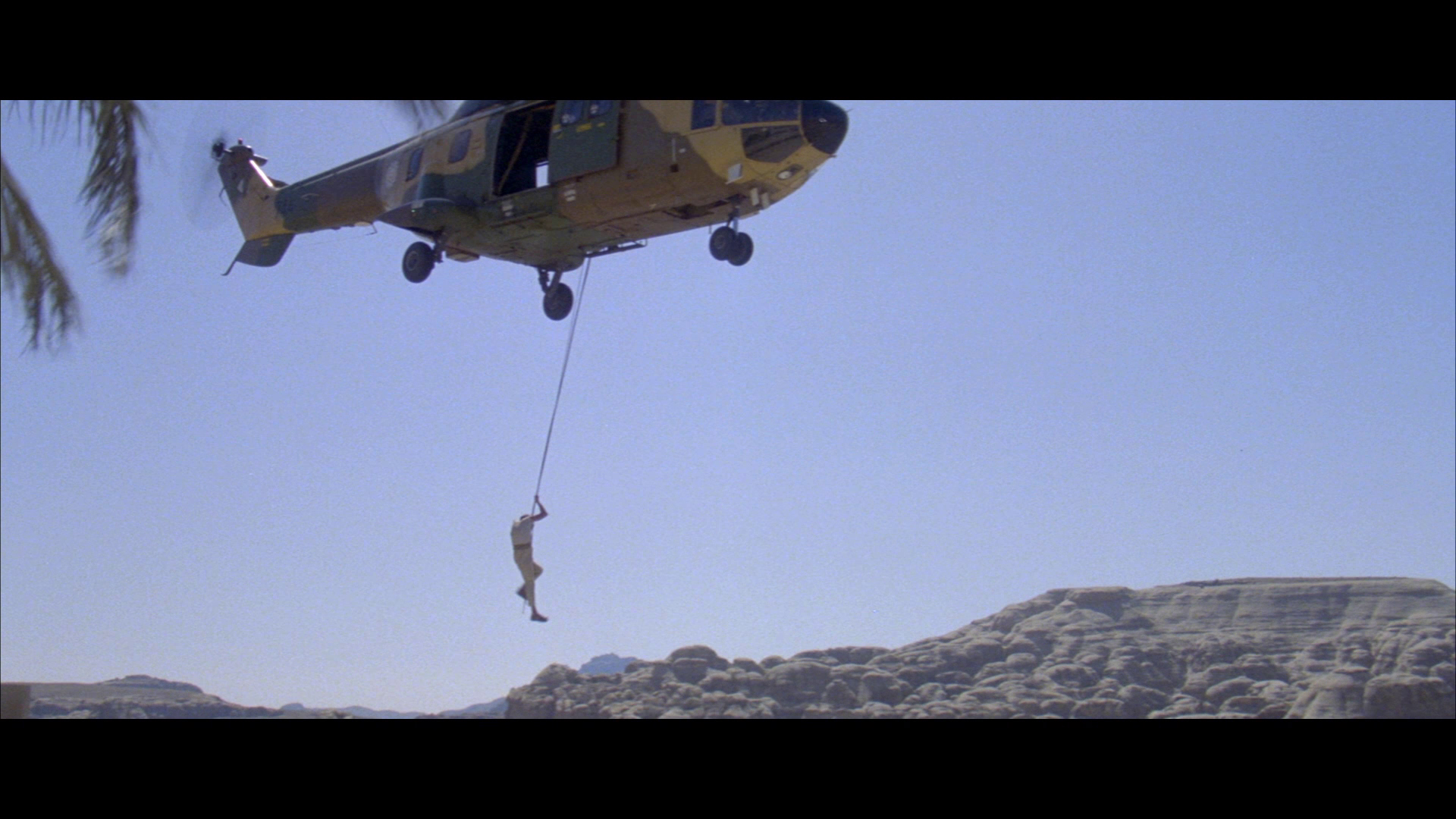 Son of the Pink Panther