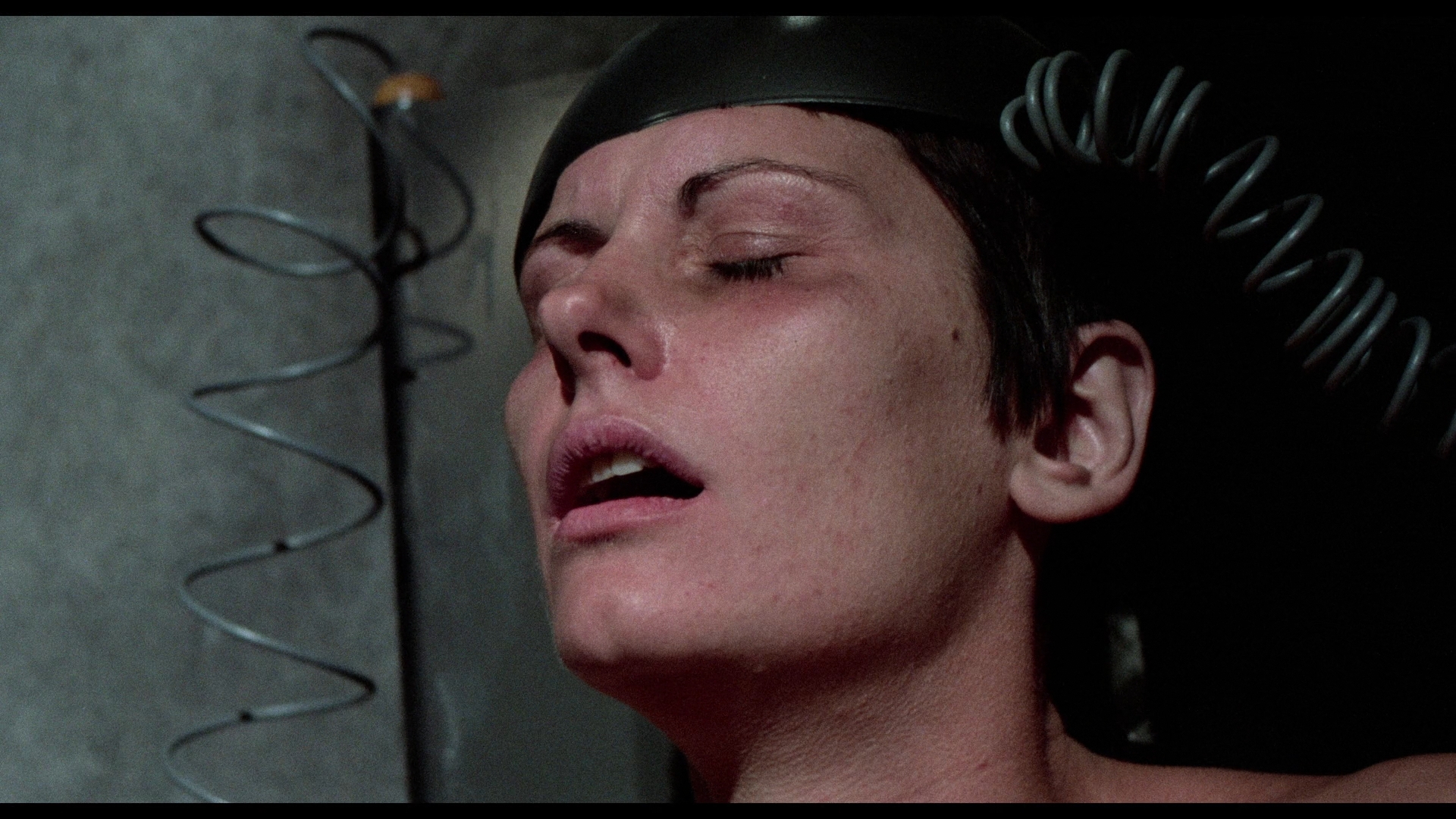 SS Experiment Love Camp